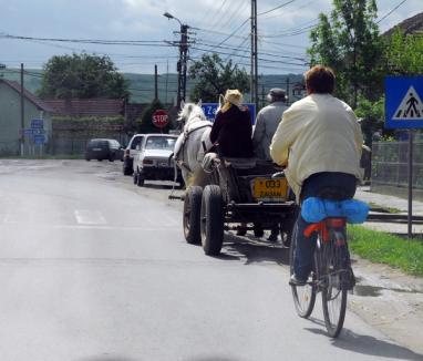 Opt primării din Bihor vor să-şi facă piste de biciclete
